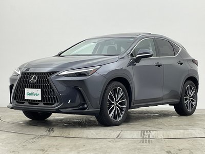 2022 Lexus NX — миниатюра 44
