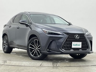 2022 Lexus NX — миниатюра 38
