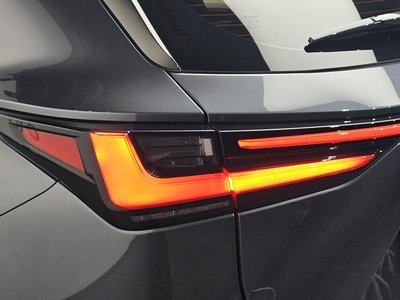 LEXUS NX - 10