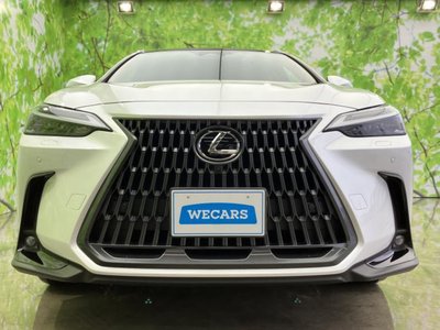 2023 Lexus NX — миниатюра 44