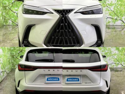 2023 Lexus NX — миниатюра 53
