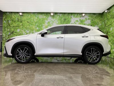 2023 Lexus NX — фото 2