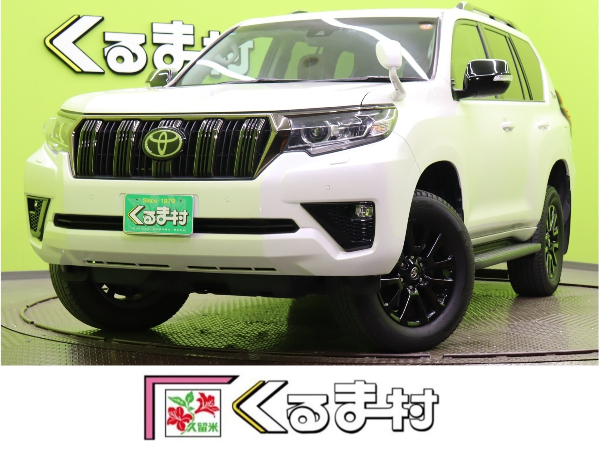 TOYOTA LAND CRUISER PRADO - View 1