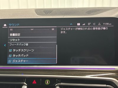 2021 BMW X5 缩略图 29