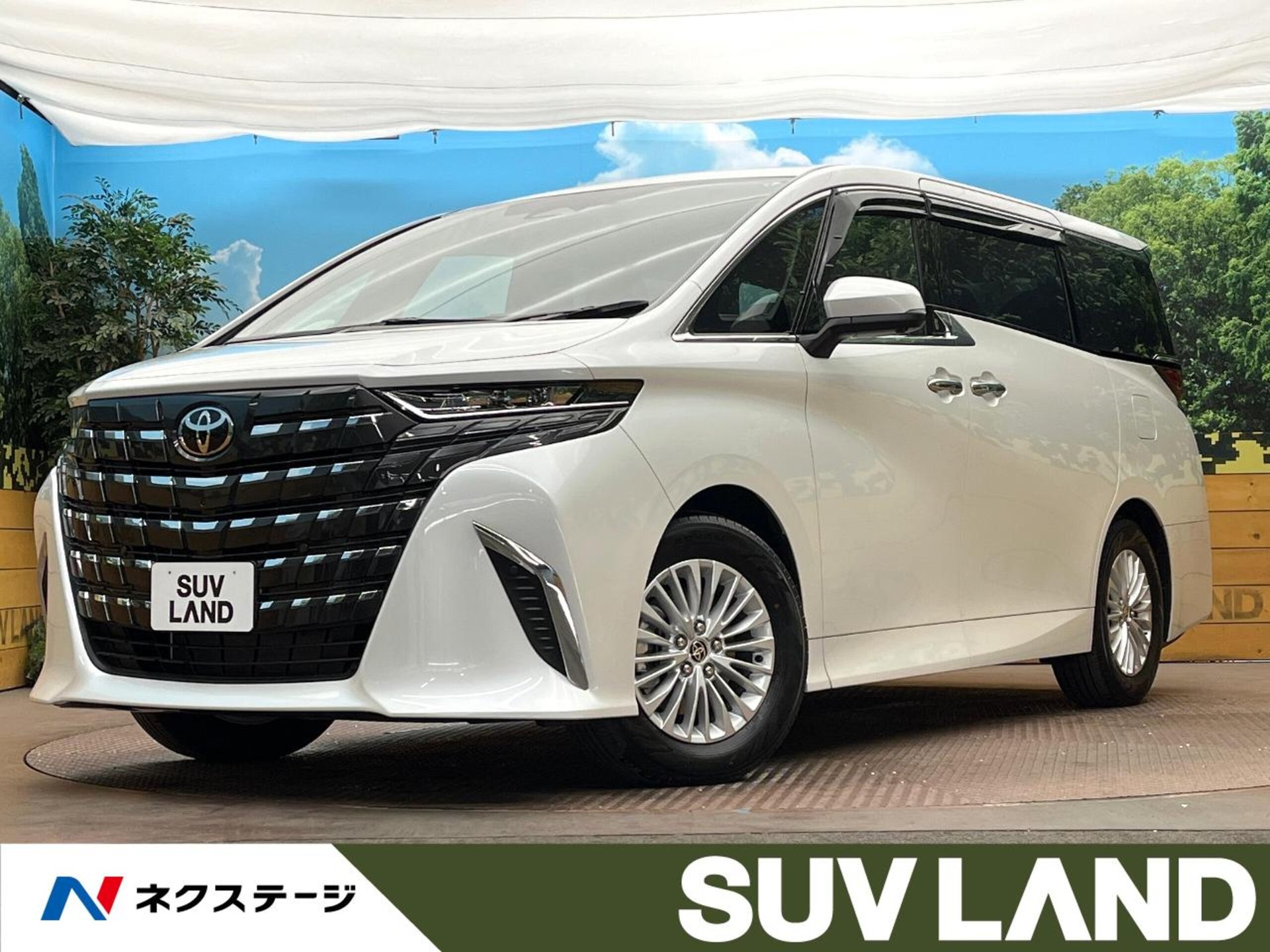 TOYOTA ALPHARD - View 1