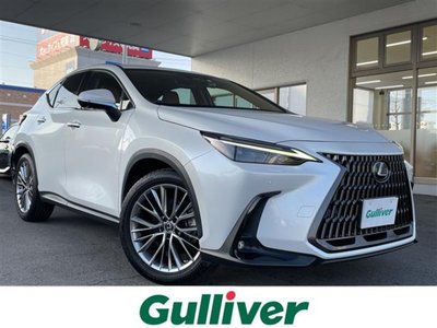 LEXUS NX - 1