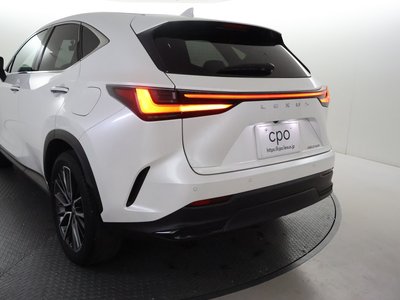 LEXUS NX - 10