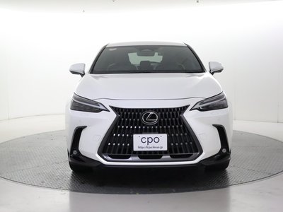 LEXUS NX - 8