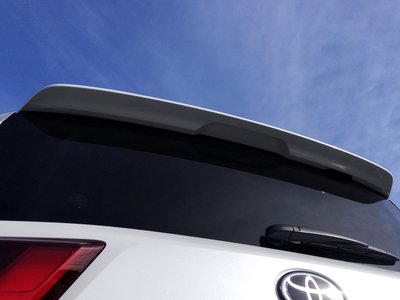 2023 Toyota LAND CRUISER 300 照片 8