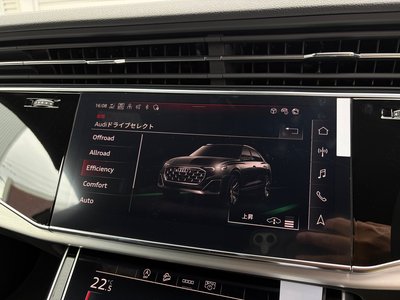 2026 AUDI Q8 缩略图 65