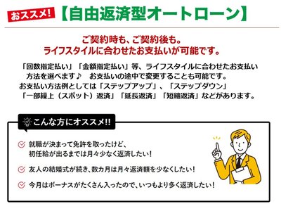 TOYOTA LAND CRUISER 300 - 9