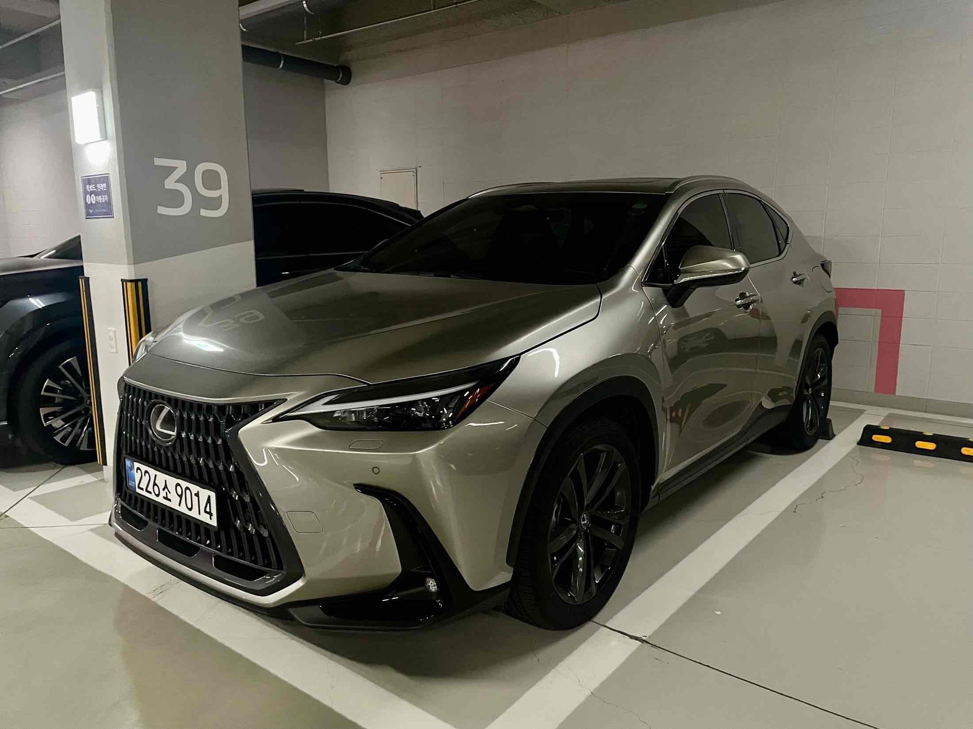 LEXUS NX - View 1
