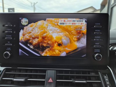 2024 Toyota LAND CRUISER 300 thumbnail 18