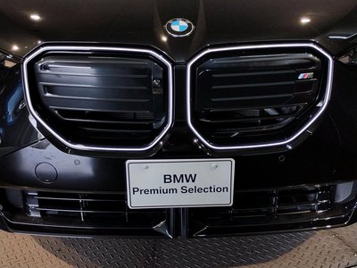 صورة مصغرة 36 لـ 2025 BMW X3