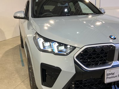 BMW X2 - 10