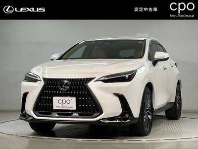 LEXUS NX - 1
