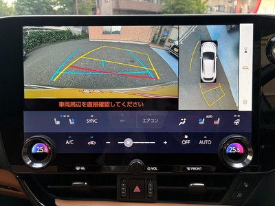 LEXUS NX - 6