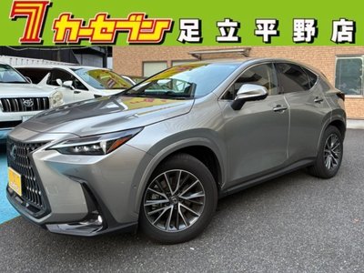 LEXUS NX - 1