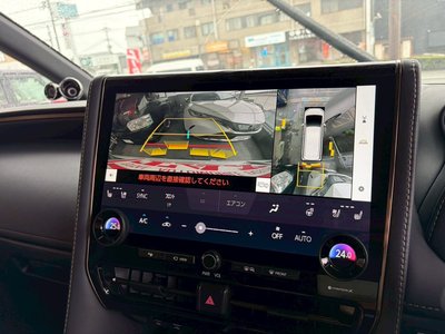 2024 TOYOTA ALPHARD photo 10