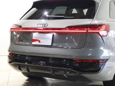 2024 AUDI Q8 E-TRON — миниатюра 20