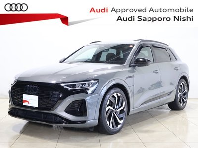 2024 AUDI Q8 E-TRON 照片 1