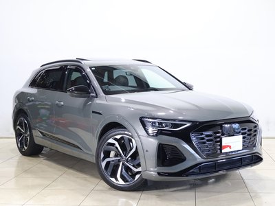 2024 AUDI Q8 E-TRON — миниатюра 15