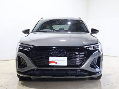 2024 AUDI Q8 E-TRON — миниатюра 14
