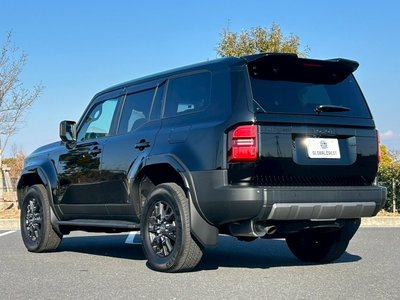 TOYOTA LAND CRUISER 250 - 10