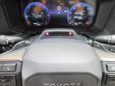 2024 Toyota LAND CRUISER 250 缩略图 64