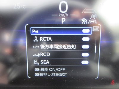 2024 Toyota LAND CRUISER 250 缩略图 61