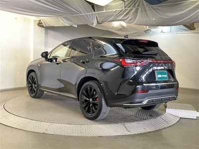 LEXUS NX - 10