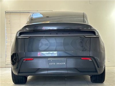 TESLA MODEL Y - 7