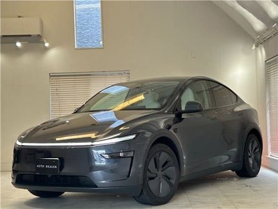 TESLA MODEL Y - 1