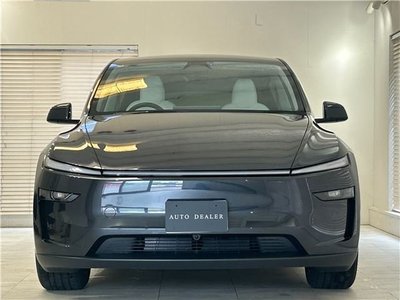 TESLA MODEL Y - 10