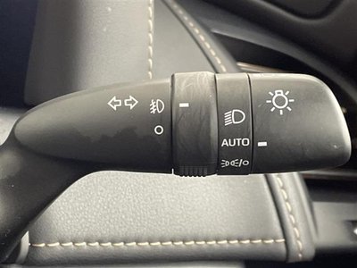 2024 Toyota ALPHARD — миниатюра 21