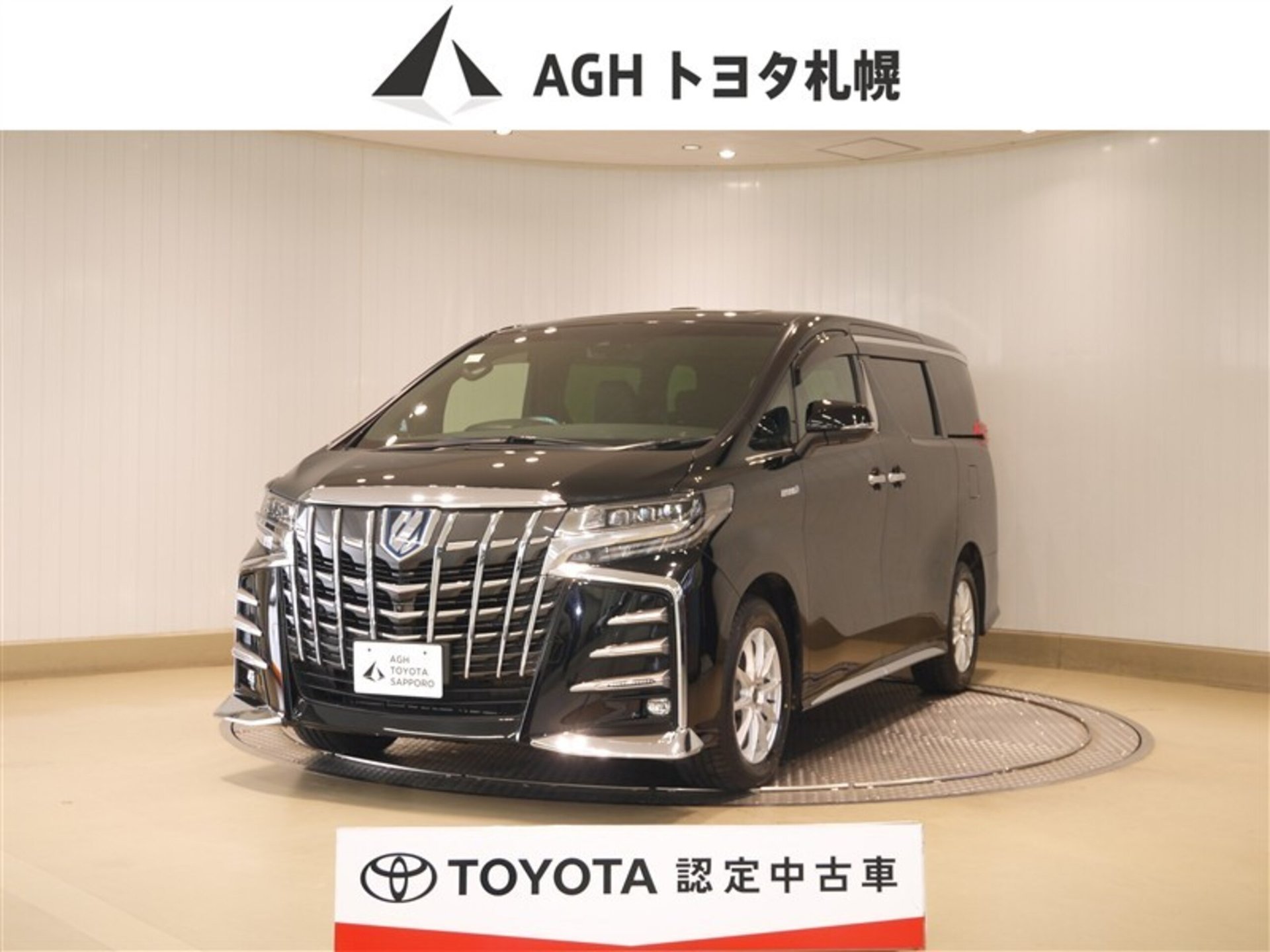 TOYOTA ALPHARD - View 1