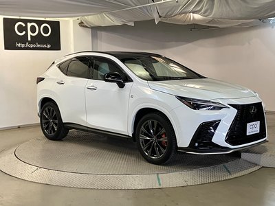 LEXUS NX - 6
