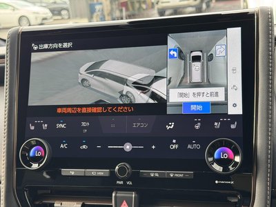 2026 Toyota ALPHARD 照片 10