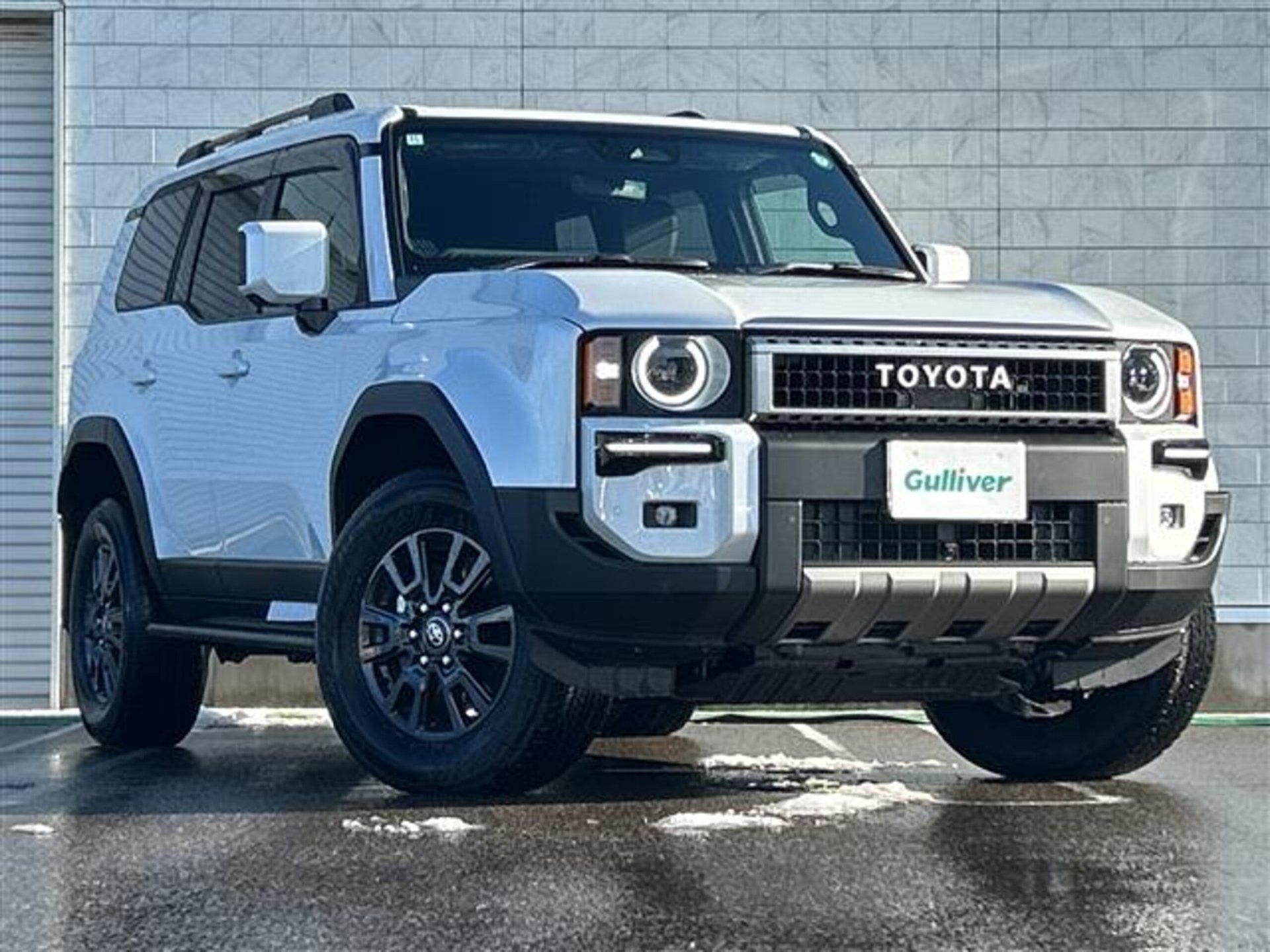 TOYOTA LAND CRUISER 250 - View 1