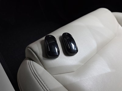 2020 Tesla MODEL X thumbnail 31