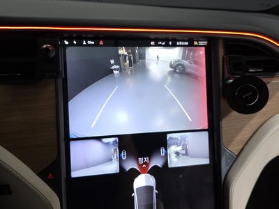 2020 Tesla MODEL X thumbnail 21