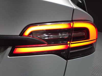 2020 Tesla MODEL X 照片 10