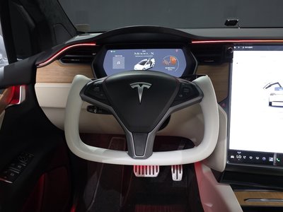 2020 Tesla MODEL X thumbnail 19