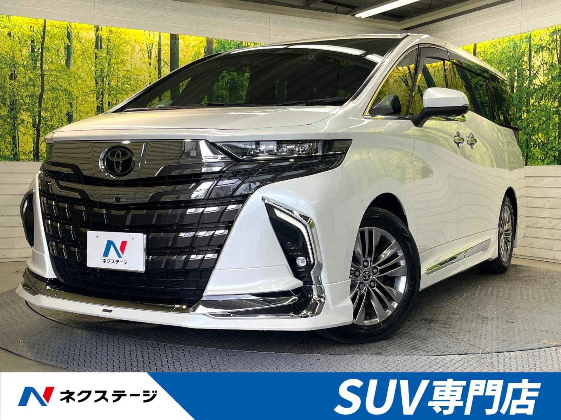 TOYOTA ALPHARD - View 1