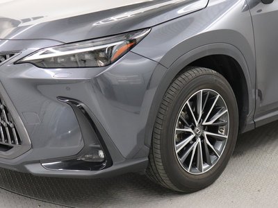 2022 Lexus NX — миниатюра 18