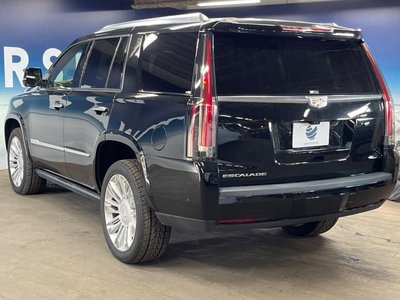 2020 Cadillac ESCALADE 缩略图 19