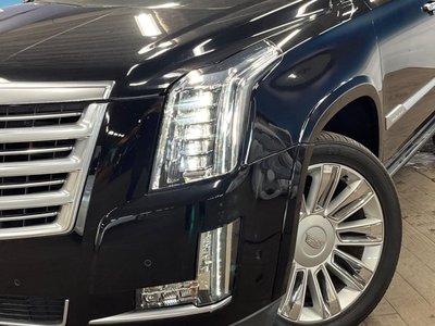 2020 Cadillac ESCALADE 缩略图 14