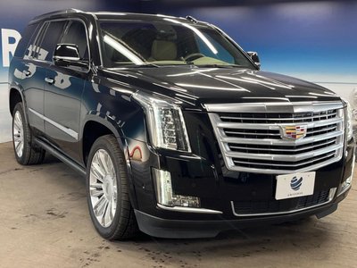 2020 Cadillac ESCALADE 缩略图 18