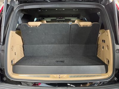 2020 Cadillac ESCALADE 缩略图 12