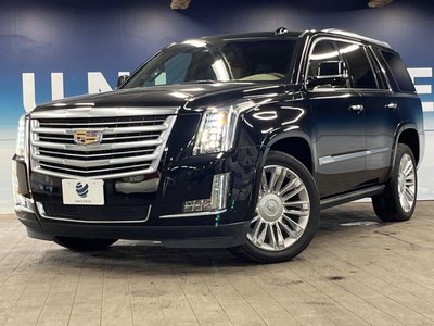 2020 Cadillac ESCALADE 缩略图 24